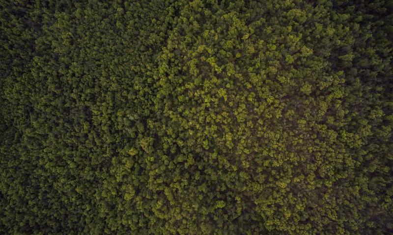 欧洲杯射手榜最新排名
